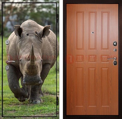 Металлическая дверь с фотопечатью носорога ДФ-31 в Железнодорожном