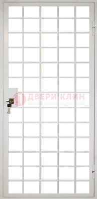 Белая металлическая решетчатая дверь ДР-2 в Железнодорожном